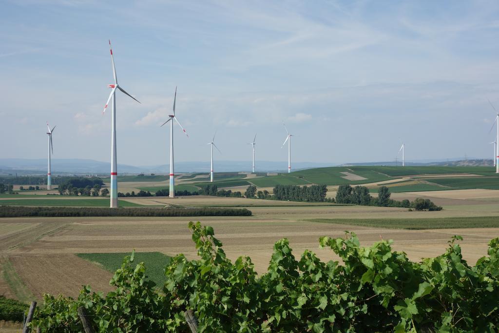 Antjes Ferienwohnung Flonheim Rom bilde